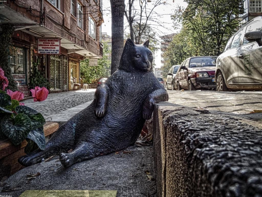 ការពិចារណា និងមតិសូមរួមចំណែក