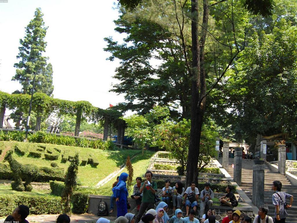 ការពិចារណា និងមតិសូមរួមចំណែក