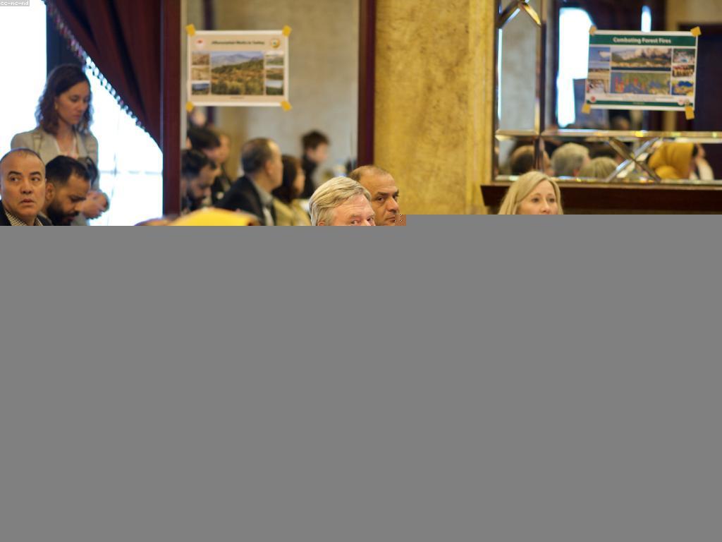 ការពិចារណានិងមតិសូមរួមចំណែកអំពីការបង្កើតអនាគតថ្មី