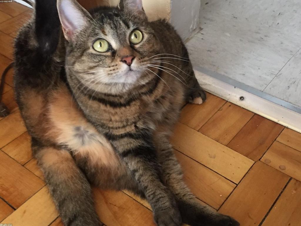 ព័ត៌មានថ្មីៗ៖ អ្វីដែលអ្នកគួរតែដឹង